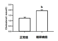 胆固醇.png