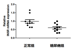 骨骼肌_20200316193450.png