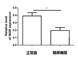 肝脏_20200316193408.png