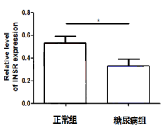 骨骼肌_20200316193346.png