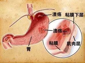 点击查看源网页