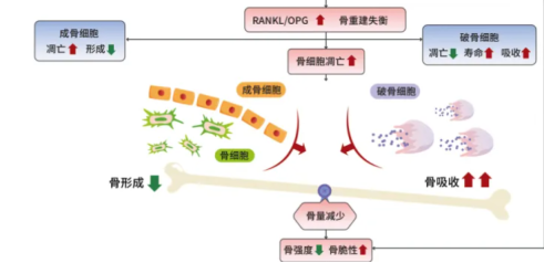 图示  描述已自动生成