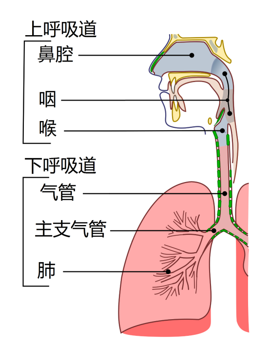 https://p1.ssl.qhmsg.com/t0139cde71558ef700c.png