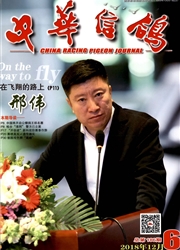 <b style='color:red'>中华</b>信鸽