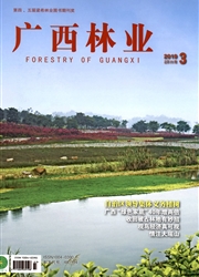 广西<b style='color:red'>林业</b>