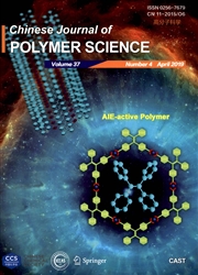 高分子科学：英文版