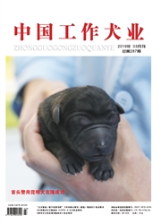 中国<b style='color:red'>工作</b>犬业