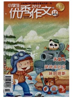 小学生优秀作文：低年级版