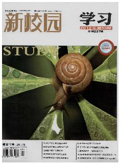 新校园：中旬刊