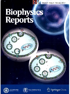 生物物理学报：英文版