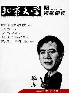 北京文学：精彩阅读