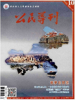 公民导刊