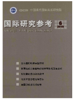 国际研究参考