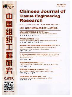 中国组织工程研究