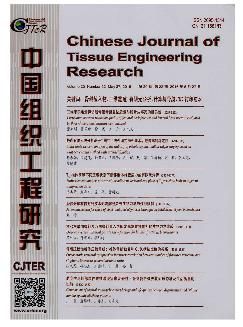 中国组织工程研究