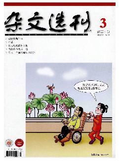 杂文选刊