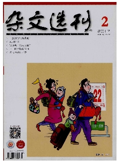 杂文选刊