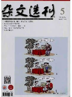 杂文选刊