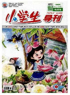 小学生导刊：中年级版