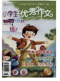 小学生优秀作文：中年级版