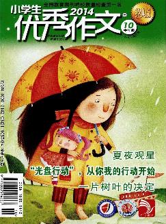 小学生优秀作文：中年级版