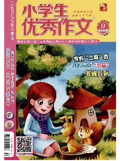 小学生优秀作文：中年级版