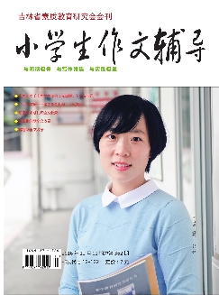 小学生作文辅导