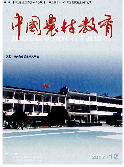 中国农村教育