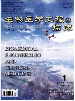 生物医学工程与临床