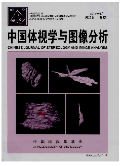 中国体视学与图像分析