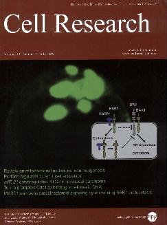 细胞研究：英文版