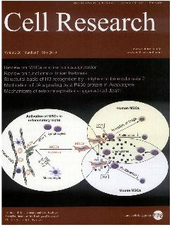 细胞研究：英文版