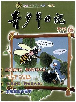 青少年日记：小学生版