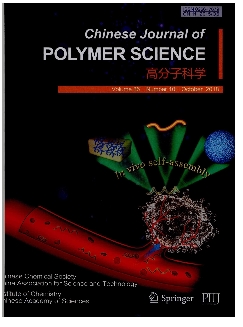 高分子科学：英文版