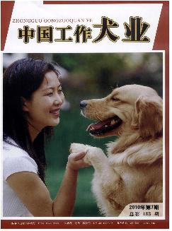 中国工作犬业