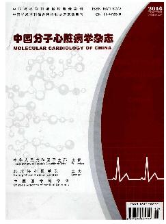 中国分子心脏病学杂志