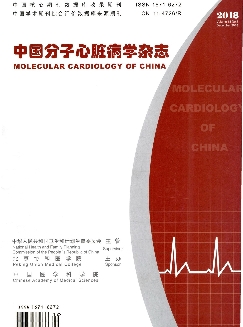 中国分子心脏病学杂志