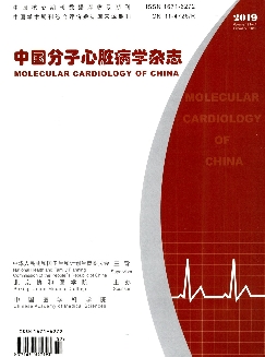 中国分子心脏病学杂志