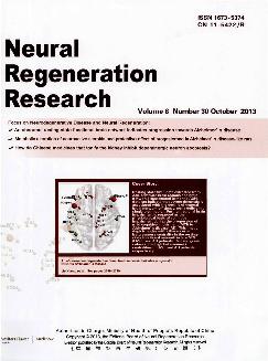 中国神经再生研究：英文版