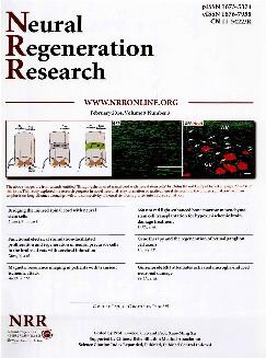 中国神经再生研究：英文版