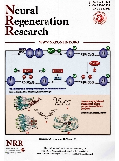 中国神经再生研究：英文版
