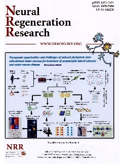 中国神经再生研究：英文版