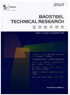 宝钢技术研究：英文版